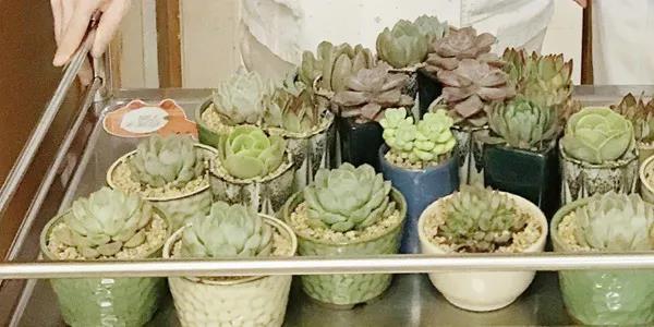 微信图片_20210309160031.jpg 微信图片_20210309160031.jpg