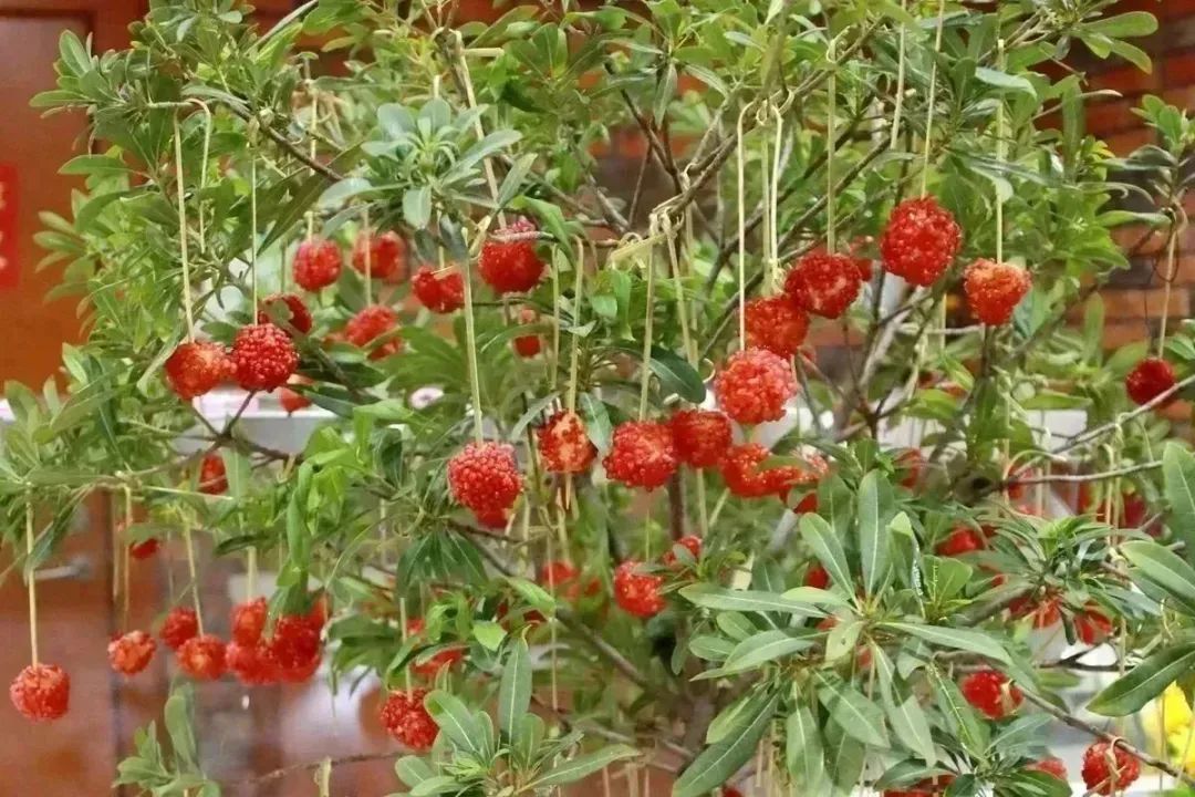 微信图片_20230606161200.jpg 微信图片_20230606161200.jpg