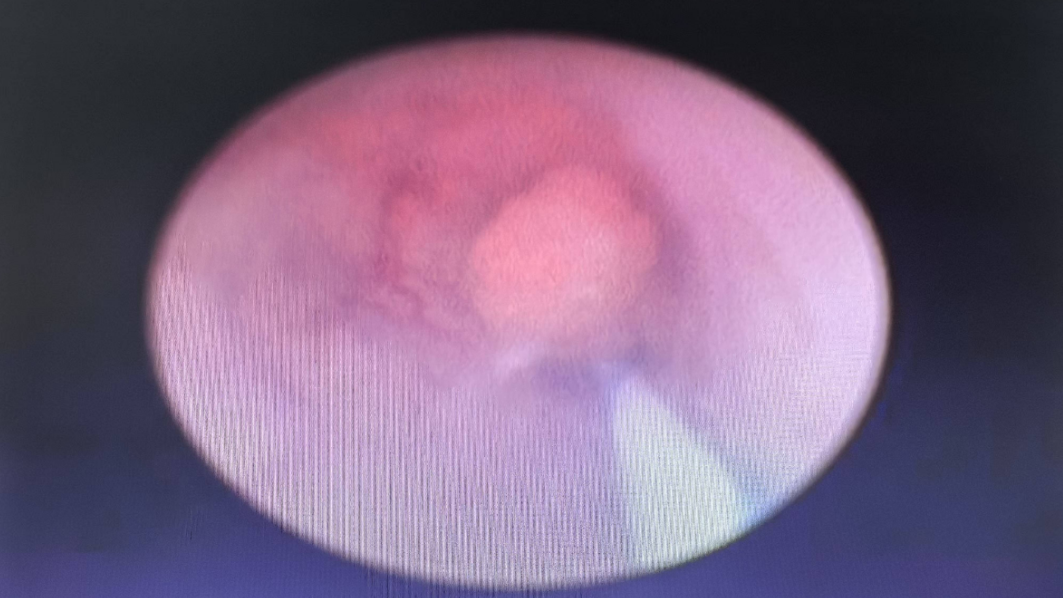 微信图片_20241223164340.png 微信图片_20241223164340.png